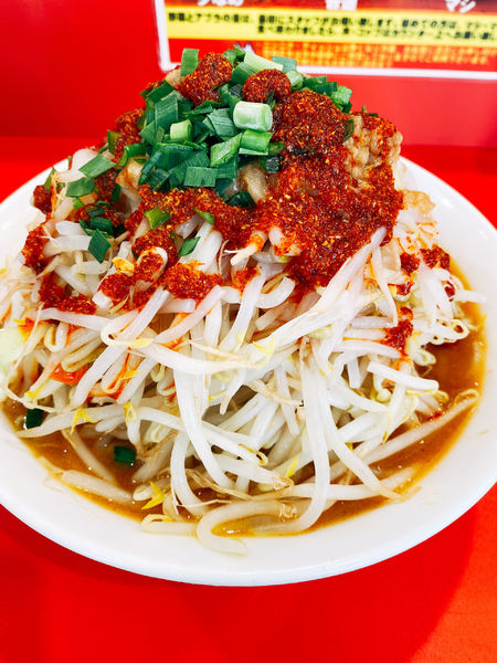 「凄い味噌ラーメン」@立川マシマシ 太田店の写真