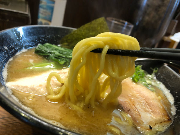 「鶏白湯らーめん　800円」@三代目麺処 「まるは」極 船橋店の写真