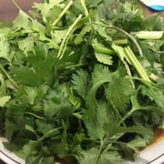 Curry ＆ Noodle Thai Gingerの画像