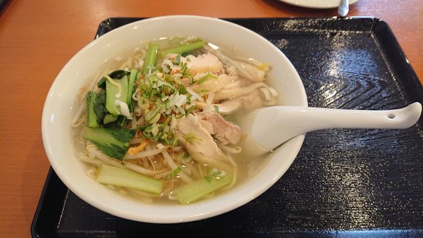 「鶏肉そば(塩味)( 700円)」@中華料理 嘉宴 御嶽山店の写真