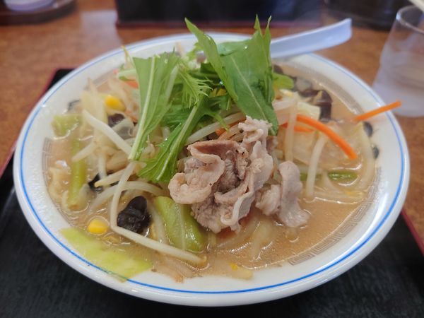 「野菜たっぷり味噌ラーメン650円」@山田うどん あたご店の写真
