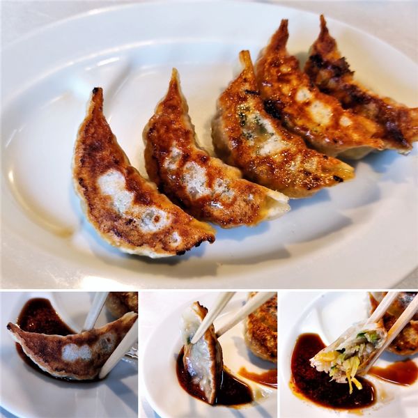 「餃子(5個)　350円」@太白楼の写真