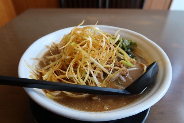 「【期間限定】伊勢味噌肉ネギらーめん￥８６０」@蔵出し味噌 麺屋 壱正 小牧本店の写真