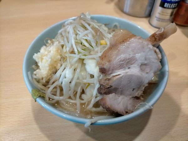 「小ラーメン790円 麺少なめ」@ラーメン二郎 八王子野猿街道店2の写真