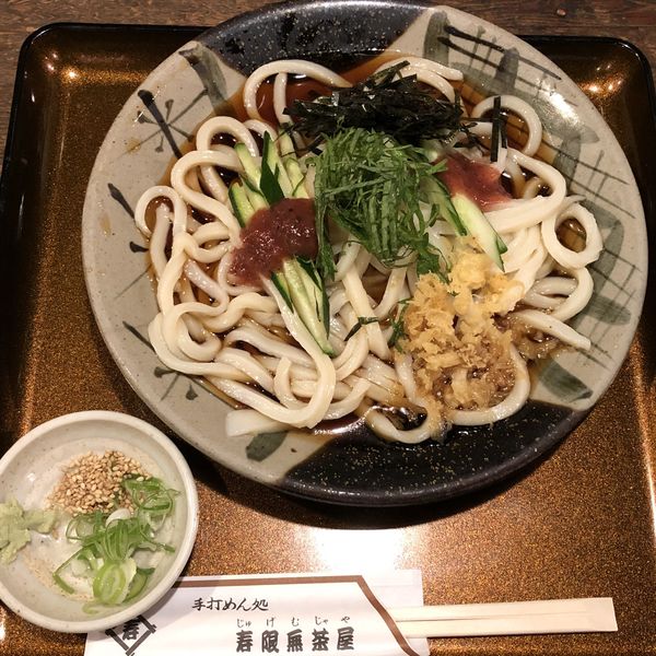 「梅おろし　￥８５０」@寿限無茶屋の写真