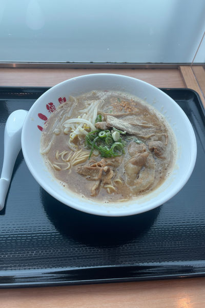 「徳島ラーメン」@宝ラーメン 徳島阿波おどり空港店の写真