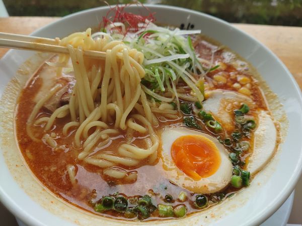 「辛味噌ラーメン￥720」@にぼしまじんの写真