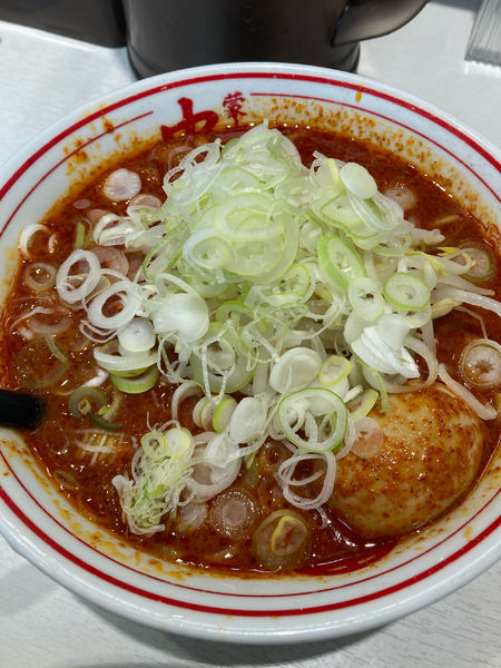 「北極ラーメン」@蒙古タンメン 中本 川越店の写真