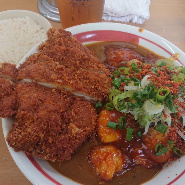 「カレーぶっかけB2000円(チリver)ハーフカツ500円他」@MENYA 食い味の道有楽の写真
