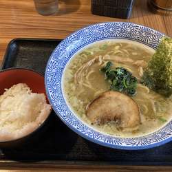 濃厚鶏魚介らーめん