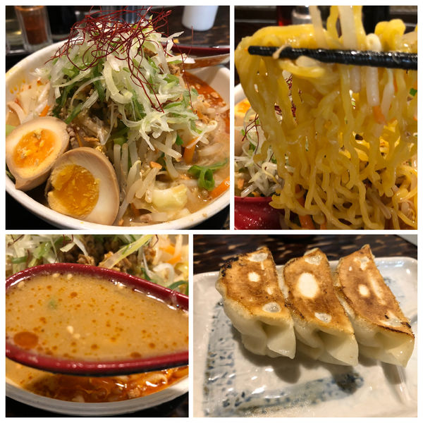 「【限定】野菜坦々麺 890円餃子240円味玉クーポン」@北のらーめん 美空の写真