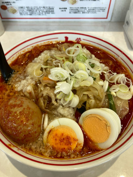 「北極やさい」@蒙古タンメン中本 宇都宮店の写真