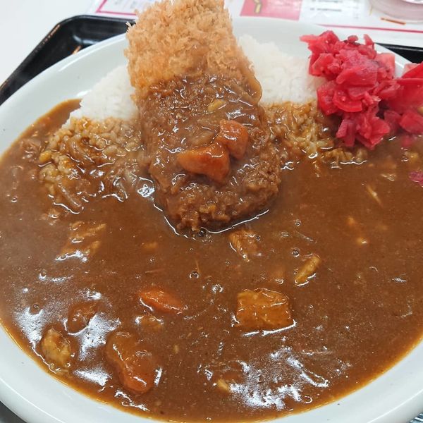 「煮込みカツカレー」@本家絶品煮込みカツカレ－の店 八千代台店の写真