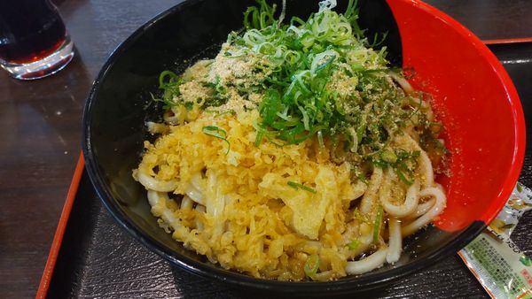 「ぶっかけうどん冷大300円（毎月14日）」@伊予製麺 ロックタウン野田店の写真