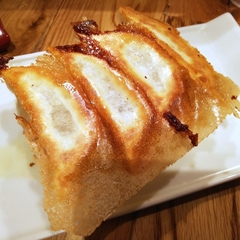 ISOGAMI餃子バル TOMAKOの画像