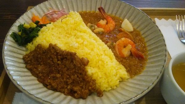 「二種合いがけデルタカレー 900円」@カレーの店 URA ぼなっの写真