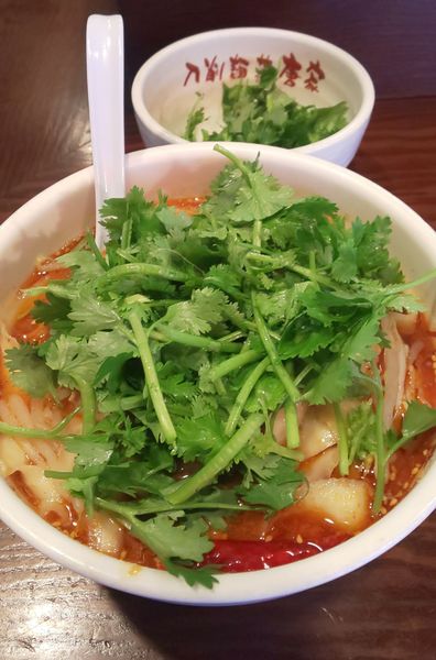 「激辛麻辣刀削麵パクチー大盛」@刀削麺荘 唐家 秋葉原店の写真