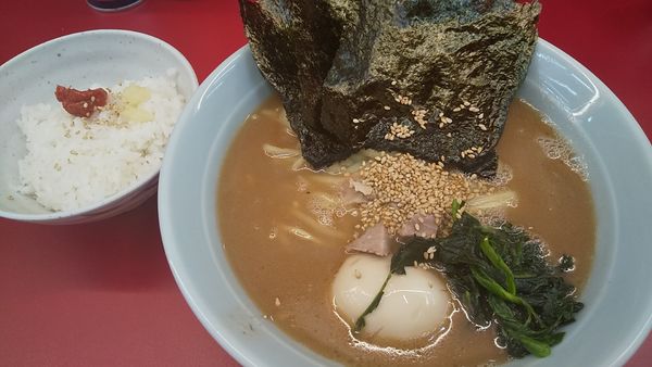 「朝ラーメン＋味玉(¥500＋ライス無料)」@ラーメン堀田家の写真