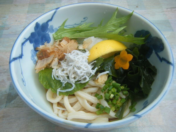 「しらすおろしうどん（小）」@野口製麺所の写真