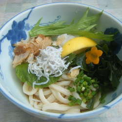 しらすおろしうどん（小）