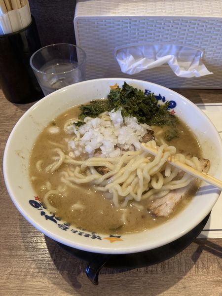 「煮干しラーメン・大盛り＋替玉１玉（９３０円）」@濃厚煮干しラーメン 麺屋 弐星 六甲道店の写真