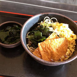 きつねそば(冷し/420円)+わかめ(クーポン)