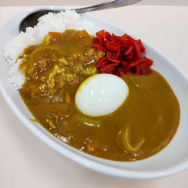 「あのカレーライス（￥630）＋魚だし味玉（￥100）」@ラーチャン専門 我武者羅 蒲田店の写真