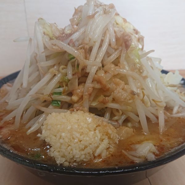「味噌ラーメン800円(ヤサイニンニクアブラ)」@ラーメン二郎 京成大久保店の写真