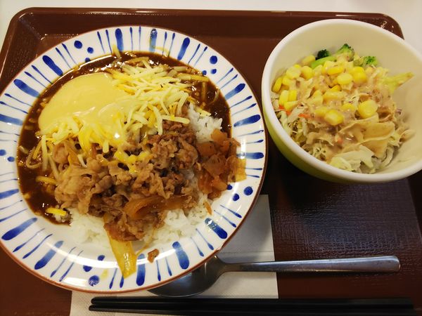 「チーズ牛カレーミニ＋サラダ　670＋140円」@すき家 7号弘前高崎店の写真