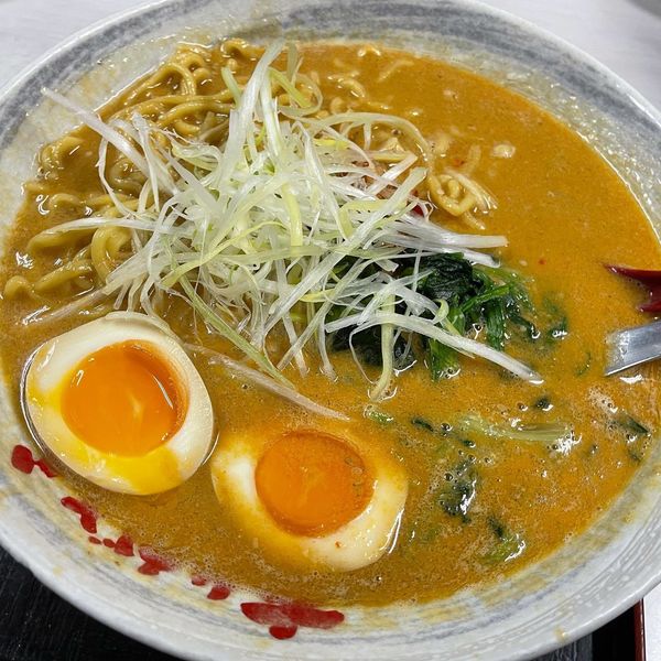「味噌坦々麺+味玉」@みそのめん王 若柴店の写真