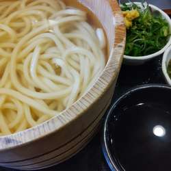 釜揚げうどん得盛り250円（毎月1日