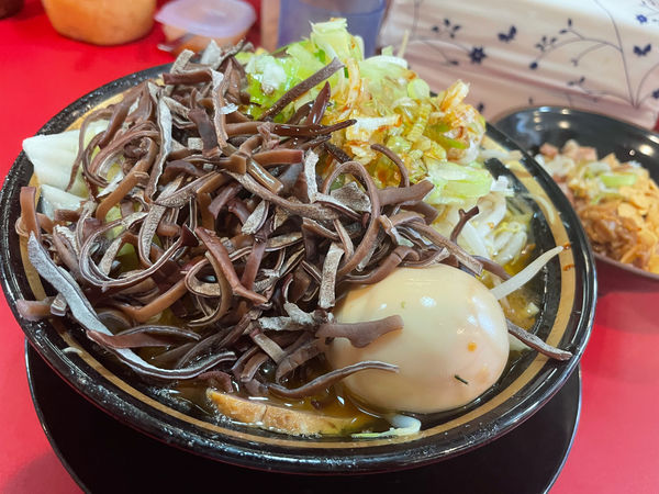 「野菜ラーメン＋きくらげ＋半賄い飯」@家系ラーメン とらきち家の写真