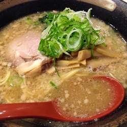 豚骨醤油ラーメン