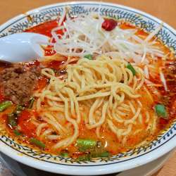 しびれる辛さの麻辣担々麺 麺硬め