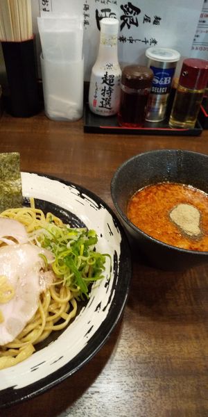「濃厚煮干しつけ麺￥800」@麺匠 銀星 海美風の写真