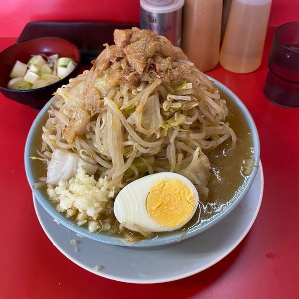「ラーメン(180g)野菜増し ネギ」@ラーメン富士丸 東浦和店の写真