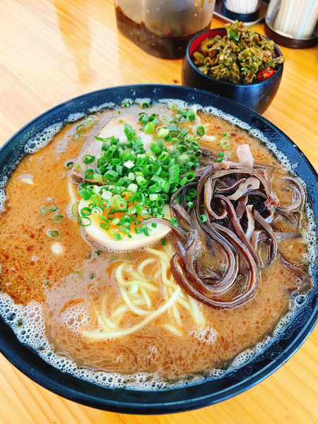 「魚粉豚骨ラーメン　高菜トッピング」@豚骨ラーメン 新井商店の写真