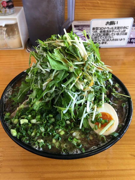 「魚粉とんこつラーメン」@豚骨ラーメン 新井商店の写真
