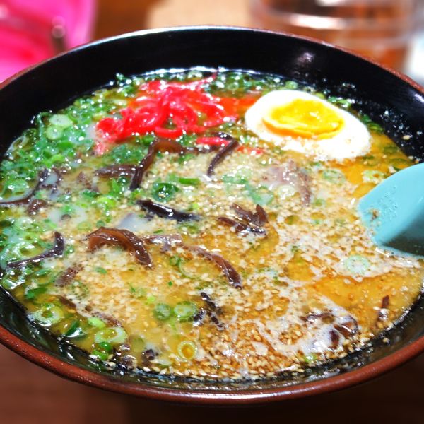 「博多ラーメン　細麺」@博多ラーメン かっぱ亭の写真