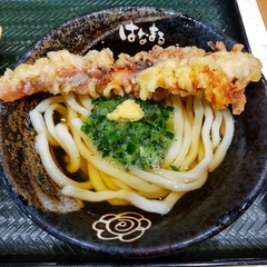 はなまるうどん マチノマ大森店の画像