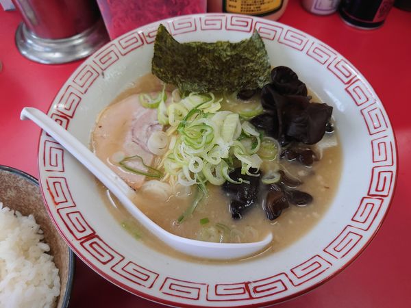 「長浜らーめん（塩）650円＋小ライス150円」@長浜らーめんの写真