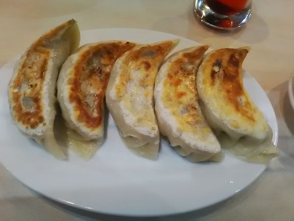 「餃子(6個)(660円)」@榮鳳の写真