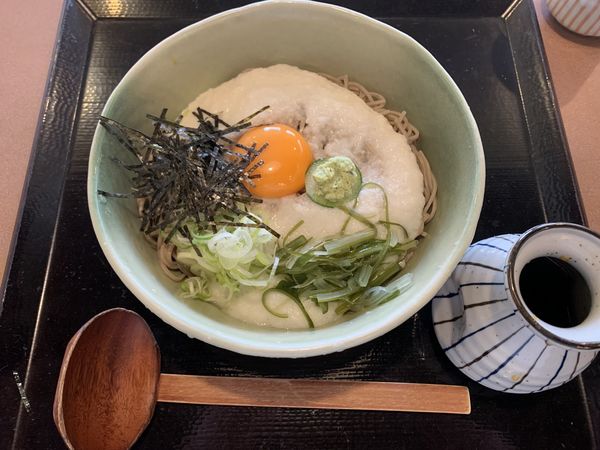 「とろろそば大盛 1090円」@味の民芸 所沢小手指店の写真