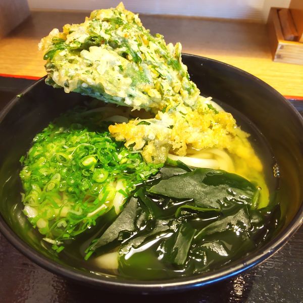 「かけ（並）（￥410）＋春菊天（￥150）」@讃岐うどん 源八の写真