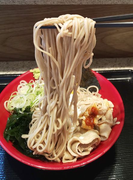 「冷し肉富士そば」@名代 富士そば 神楽坂店の写真