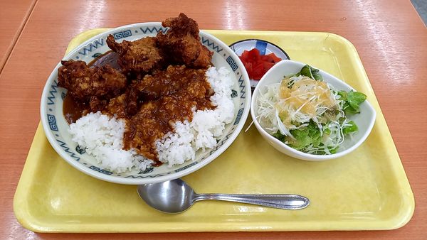 「からあげカレー」@未来屋の写真