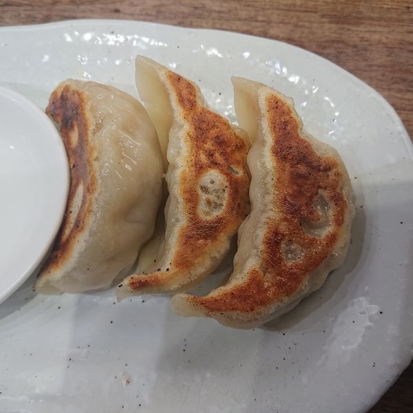 「うま塩ラーメン700円、ジューシー餃子3ヶ270円」@麺家 ゐをりの写真