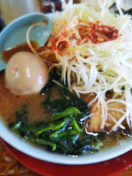 「ネギ玉子チャーシュー太麺」@栃木家の写真