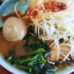 ネギ玉子チャーシュー太麺