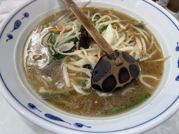 「味噌ラーメン」@ほづみ亭の写真